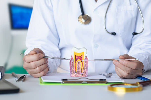 Best Emergency Dental Services for Seniors in Howell, MI